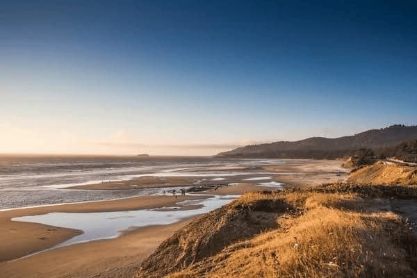 申请强制执行钱多久到账，申请强制执行钱多久到账户