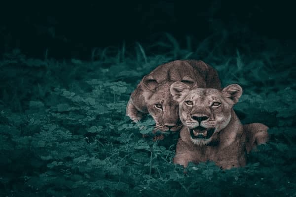 如何看自己每个月的房贷，如何看自己每个月的房贷利率